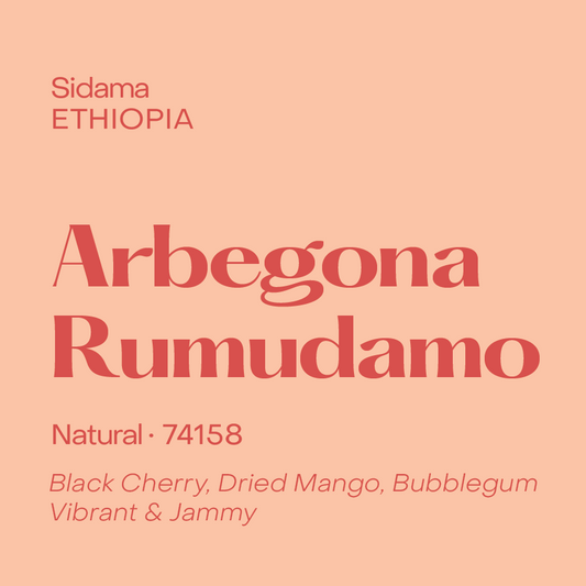 Ethiopia Arbegona Rumudamo, Natural 74158