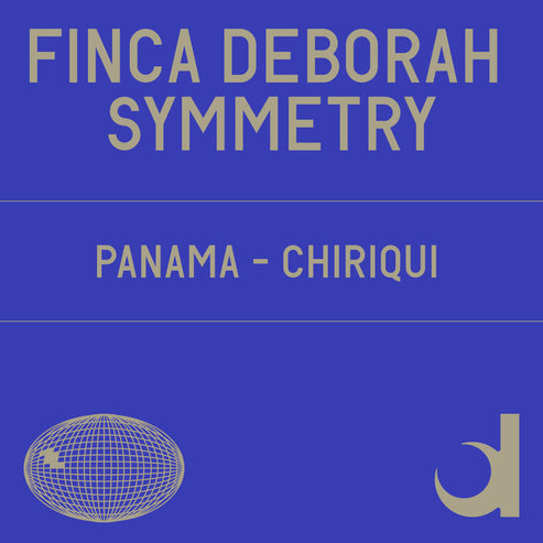 Finca Deborah Symmetry