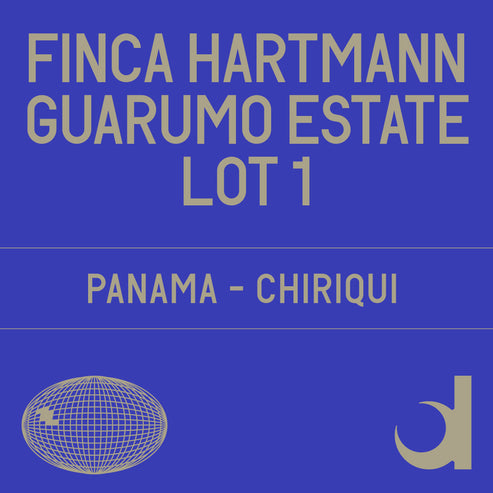 Finca Hartmann Guarumo LOT 1 Estate Natural - dark room Lot 1