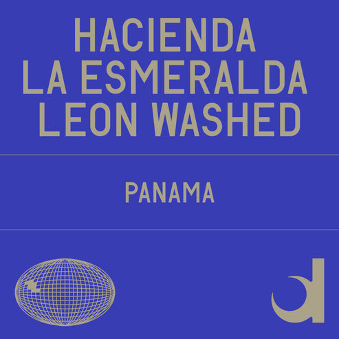 Hacienda La Esmeralda Leon Washed