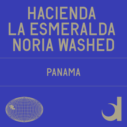 Hacienda La Esmeralda Noria Washed