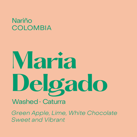 Colombia Maria Delgado, Washed Caturra