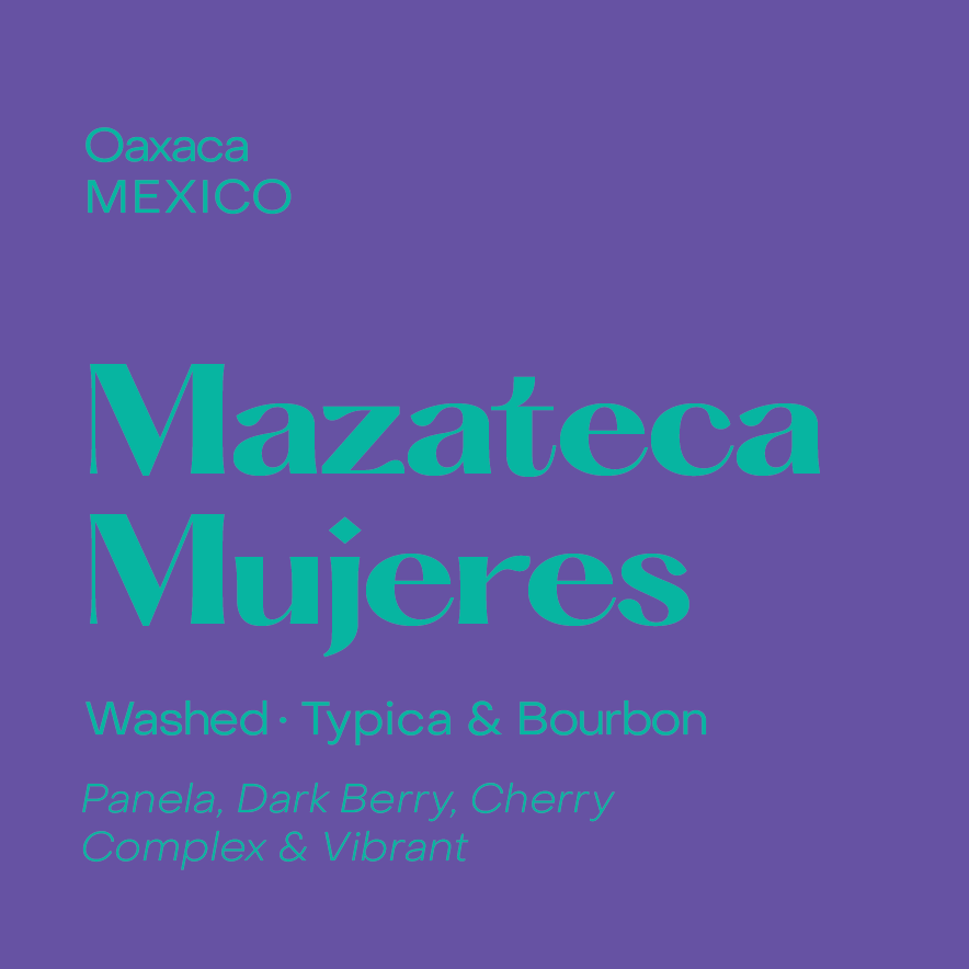 Mexico Mazateca Mujeres, Washed Field Blend